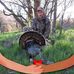 Chris Dallin - Facebook