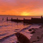 Chris Dallinger - @chrisdallinger - Instagram