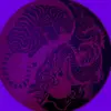 chris.dalzell - @chris.dalzell - TikTok