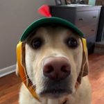 ChrisDaMan1122 - @chrisdaman1122 - Instagram