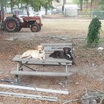 Chris Dameron - @chris.dameron.79 - Instagram