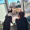 Chris - @chrisdames - TikTok