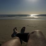 Chris Dammann - @dammannchris - Instagram