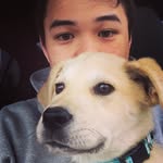 Chris Danielson - @cjdanielson - Instagram