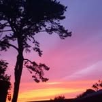 Chris Dann - @cdann443 - Instagram
