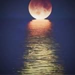 Chris Danzi - @danzichris - Instagram