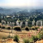 Chris Danzig - @chrisdanzig - Instagram