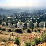 Chris Danzig - @chrisdanzig - Instagram