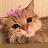 Chris Dara - @chrisdara0 - TikTok