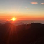 Chris Darcy - @chris.darcy.1042 - Instagram