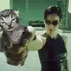 Chris_Darcy - @chris_darcy - TikTok