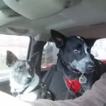 Chris Daren - @chris.daren.1 - Instagram