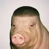 Chris Darren - @chrisdarren0 - TikTok