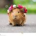 Christine Darley - Facebook