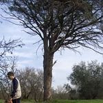 Christos Daskalakis - @daskalakischristos - Instagram