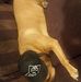 Chris Dau - Facebook