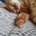 Chris Dau - Facebook