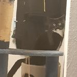 Chris Daub - @chris.daub.92 - Instagram