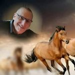Chris Daub - @chris.daub.52 - Instagram