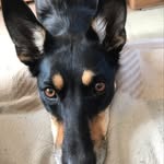 Chris Daubney - @chris.daubney.1 - Instagram