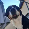 Chris Daum - @chris.daum - TikTok