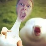 Chris Deckert - @chris_3fiddyzguy - Instagram