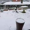 christinedecock58 - @christinedecock58 - TikTok