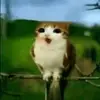 Chriss De Leon - @chriss.de.leon3 - TikTok