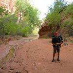 Chris DeLong - @chris.delong - Instagram