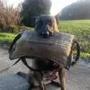 christine.de.malines - @christine.de.malines - TikTok
