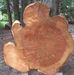 Chris DeMars Wood carvings - Facebook