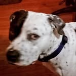 Chris - @chris_d_e_m_e_l_o - Instagram