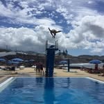 Chris De Melo - @chris.demelo1983 - Instagram