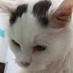 Chris Demeter - @chrisdemeter - Instagram