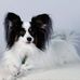 Chris Deming - Facebook
