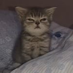 Chris Deming - @deming_kris - Instagram