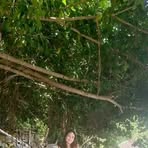 Chris Tine Donaire - Facebook
