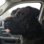 Chris Deneault - @chris_deneault - Instagram