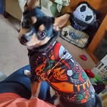 Chris Deneweth - @christine.deneweth - Instagram
