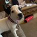 Chris Denley - Facebook