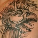 Chris Denoth - @chris_denoth - Instagram