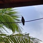 Chris Densmore - @cld121z - Instagram