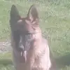 christiandepace - @christiandepace - TikTok