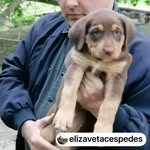 Chris Depew - @ribdersburneb903 - Instagram