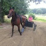 Chris Depinto - @chrisdepinto - Instagram