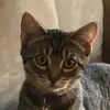 Chris DePinto - @mrnyy414 - TikTok