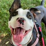 Chris Depner - @chrisdepner - Instagram
