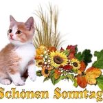 Christoph Depner - @depnerchristoph - Instagram