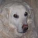 Christin Deppe - Facebook