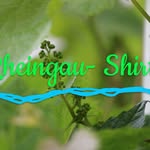 Christian Depper - @rheingaushirts - Instagram